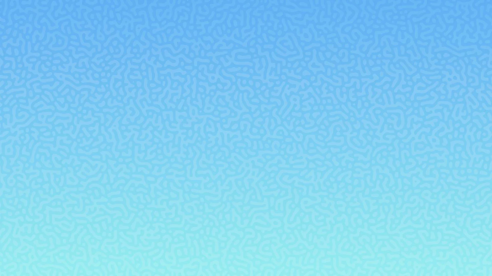 Fondo