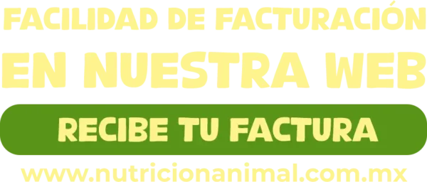 TEXTO