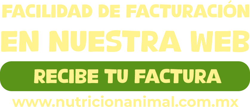 TEXTO