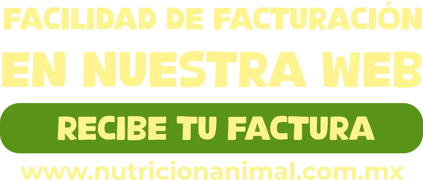 TEXTO