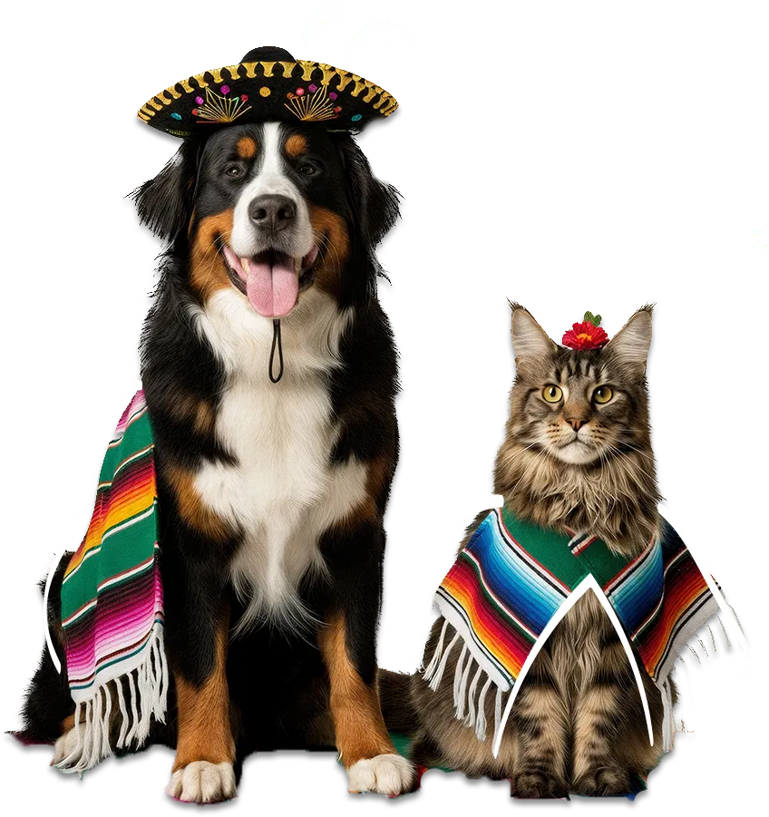 animales