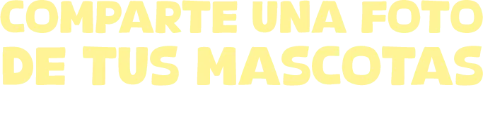 Comparte una foto de tus mascotas Participa en la ofrenda digit