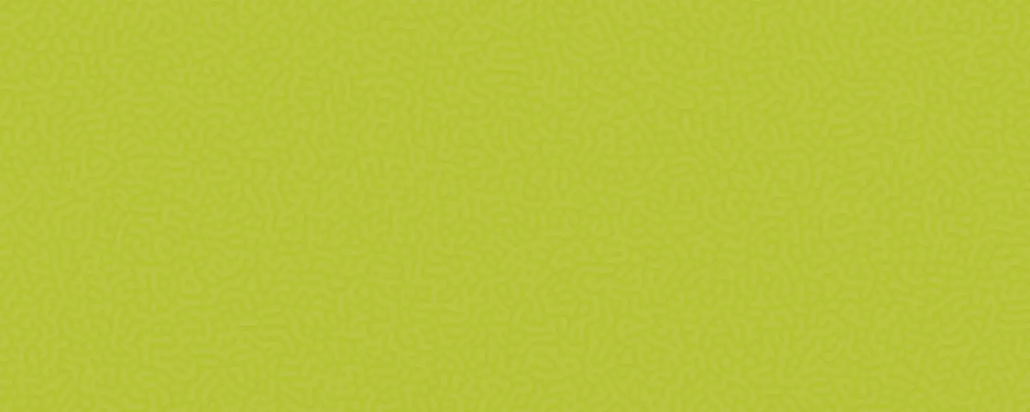 Objeto inteligente vectorial