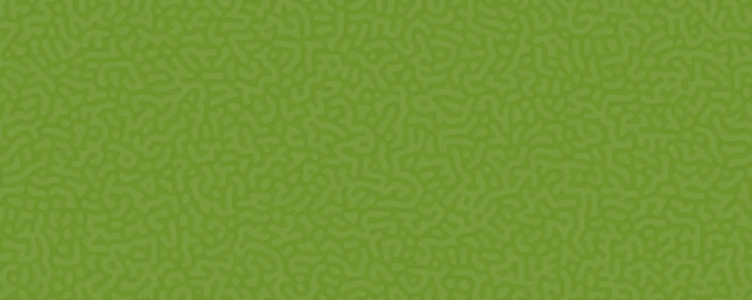 Objeto inteligente vectorial