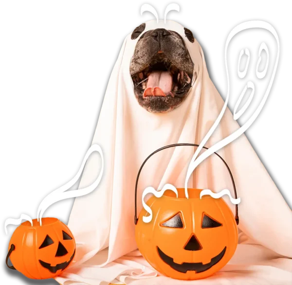 perro