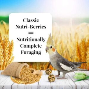 nutricionanimal-lafeber-nutriberries-alimento-para-aves-3