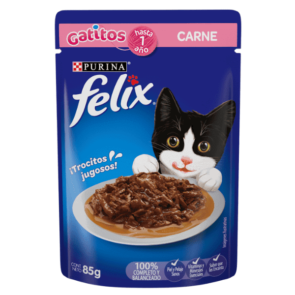 Felix-gatitos-carne, Felix gatitos sobre carne