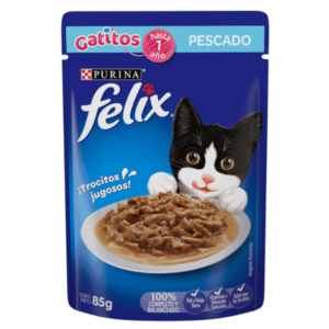 Felix gatitos sobre pescado-Felix gatitos sobre pescado blanco