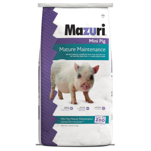Mazuri-para-mini-pig-mature-maintenance-alimento-para-mini-pig