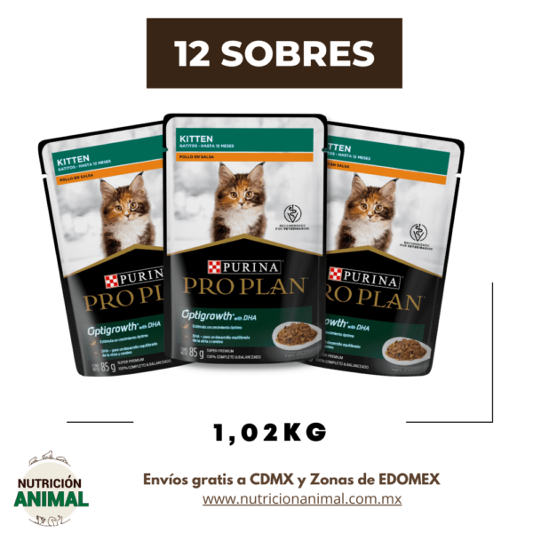 https://nutricionanimal.com.mx/producto/combo-12-sobres-pro-plan-para-gatito-1-02kg/