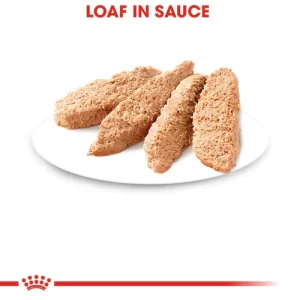 Royal-Canin-Kitten- Loaf-in-Sauce-alimento-húmedo-para-gatitos-nutrición-animal-nutricion-animal (2)