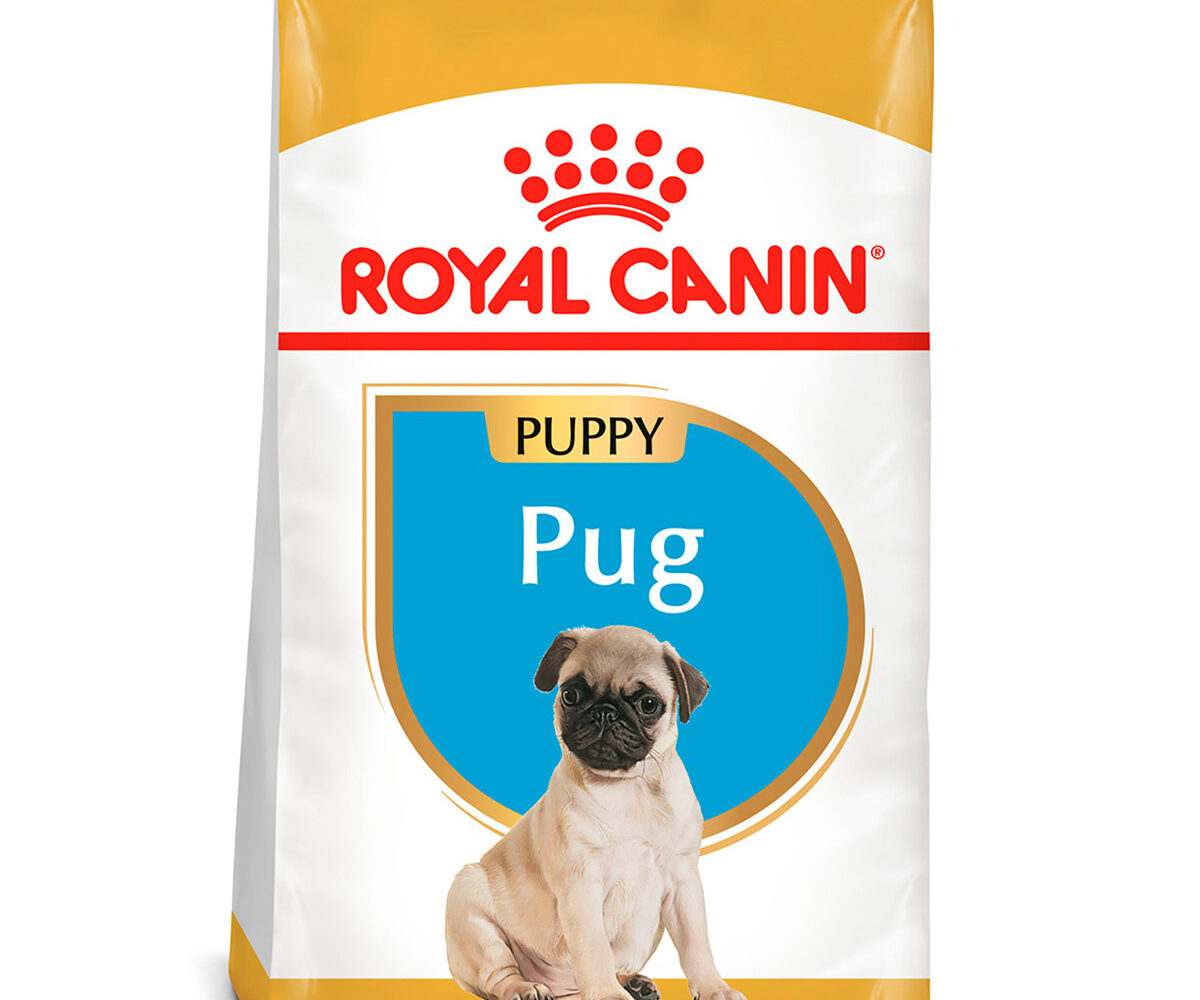 Royal-Canin-Pug-Puppy-alimento-para-pug-croquetas-nutrición-animalnutricion-animal
