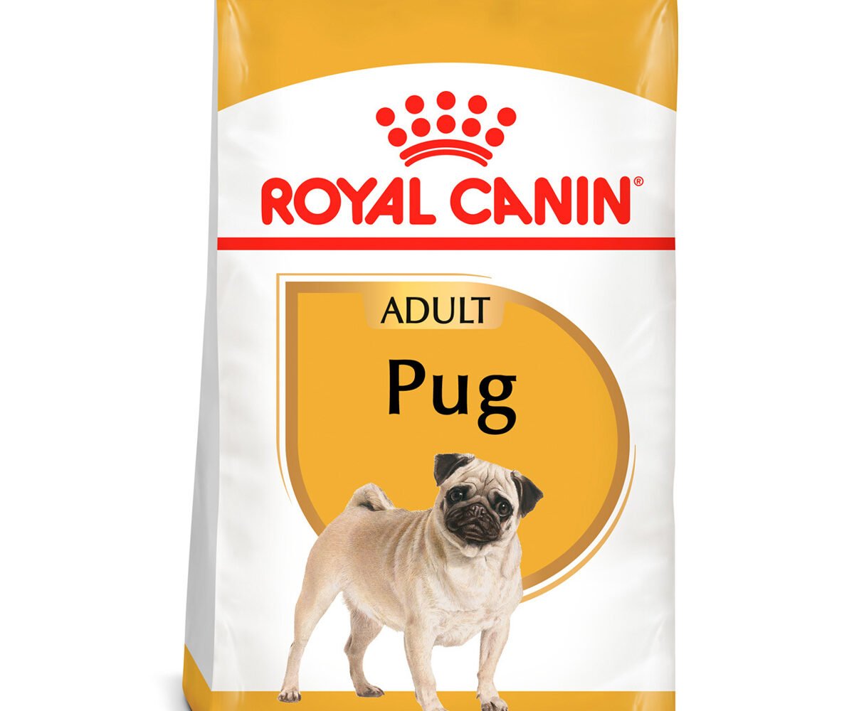 Royal-Canin-Pug-alimento-para-pug-croquetas-para-pug-nutrición.animal-nutricion-animal