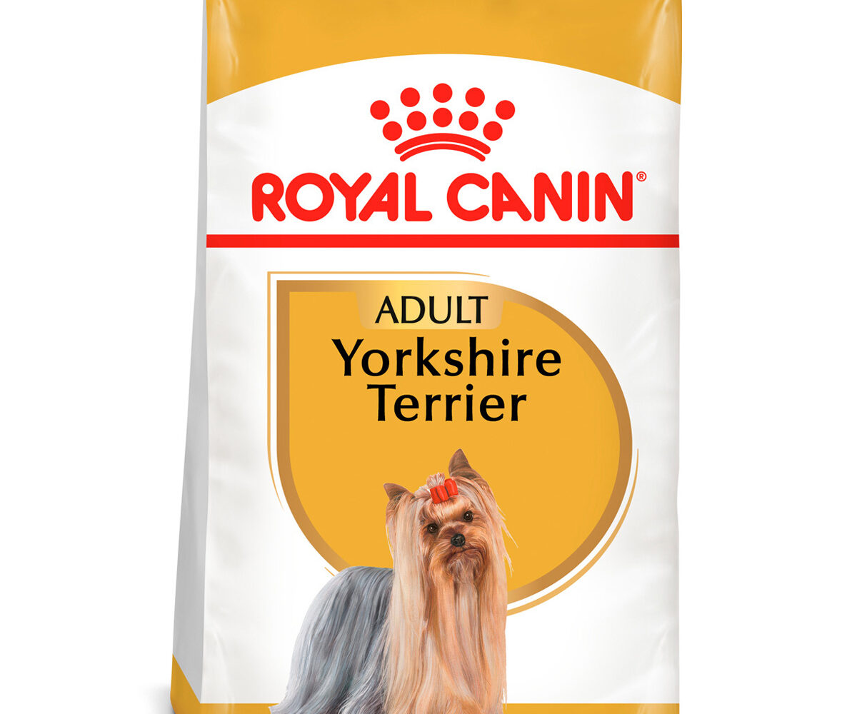 Royal-Canin-Yorkshire-Terrier-Alimento-para-Yorkshire-terrier-nutrición-animal-nutricion-animal