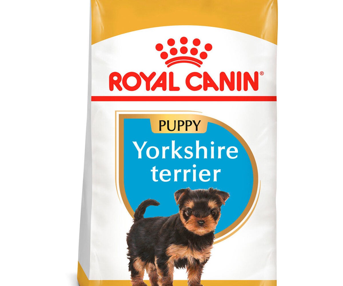 Royal-Canin-Yorkshire-Terrier-Puppy-Croquetas-para-cachorro-nutrición-animal-nutricion-animal