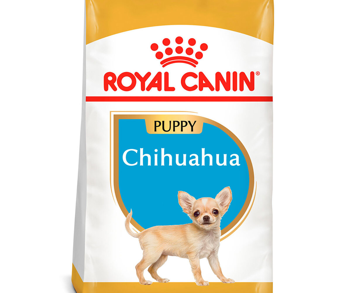 Royal-canin-para-chihuahua-cachorro-nutrición-animal-nutricion-animal