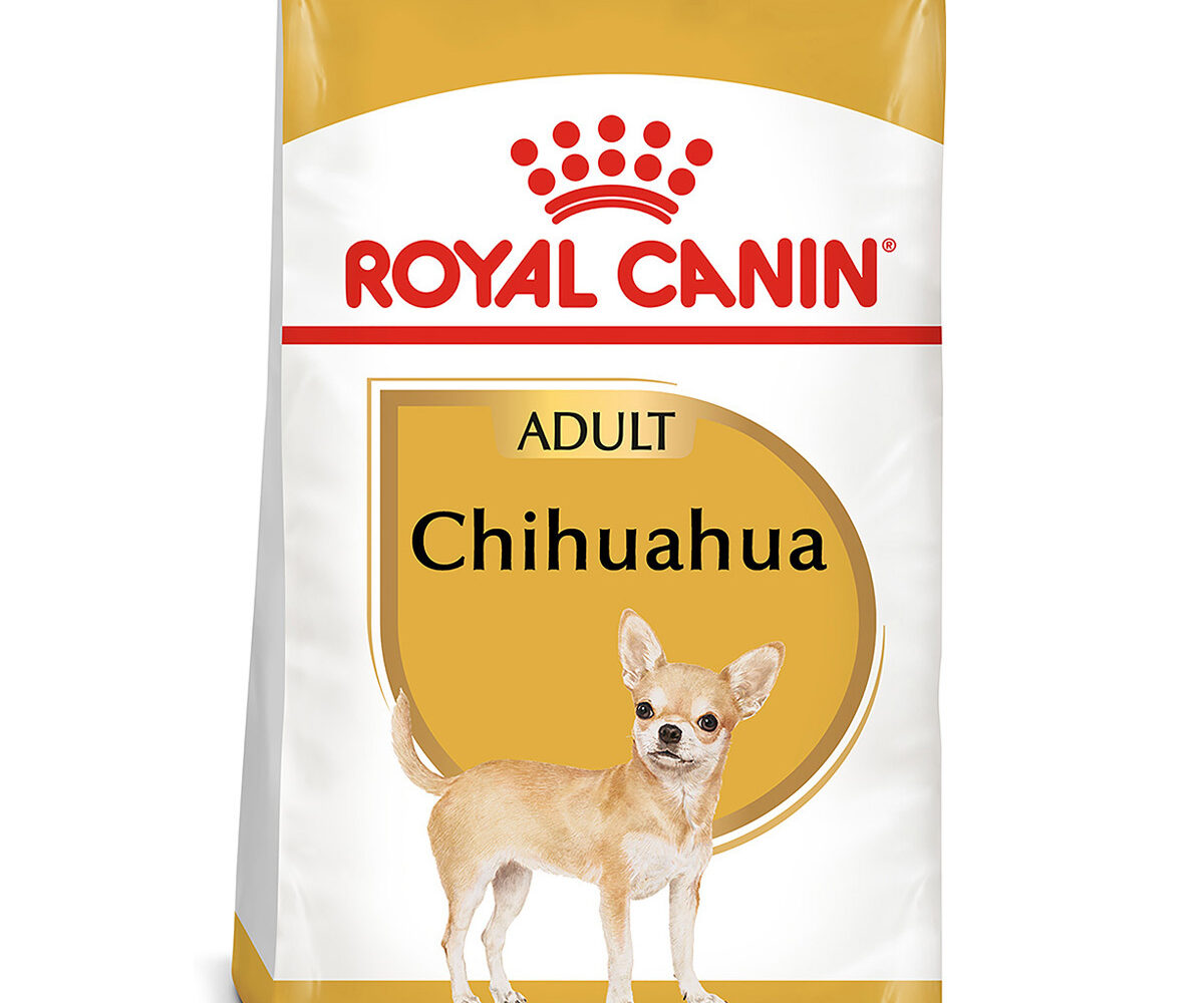 Royal-canin-para-chihuahua-croquetas-para-chihuahua-nutrición-animal-nutricion-animal