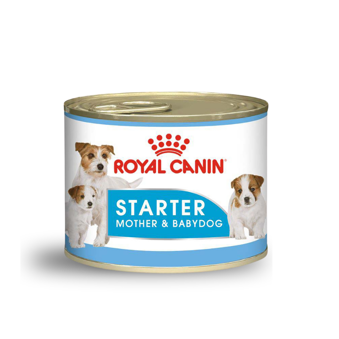 Starter-Mother-& Baby-Dog-Royal-Canin-alimento-húmedo-perra-gestante-lactación-cachorros-nutricion-animal-nutrición-animal