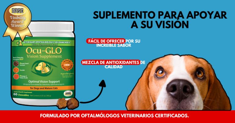 Animal-necesity-suplemento-para-perro-y-gato-nutrición-animal
