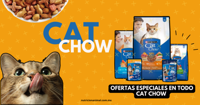 Cat-chow-alimento-seco-y-húmedo-alimento-para-mascota-nutrición-animal