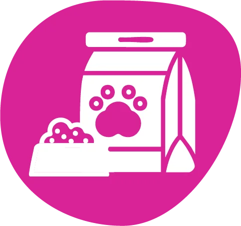 alimento-seco-para-perro