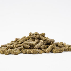 Alimentoparachinchilla-alimento-chinchilla-mazuri