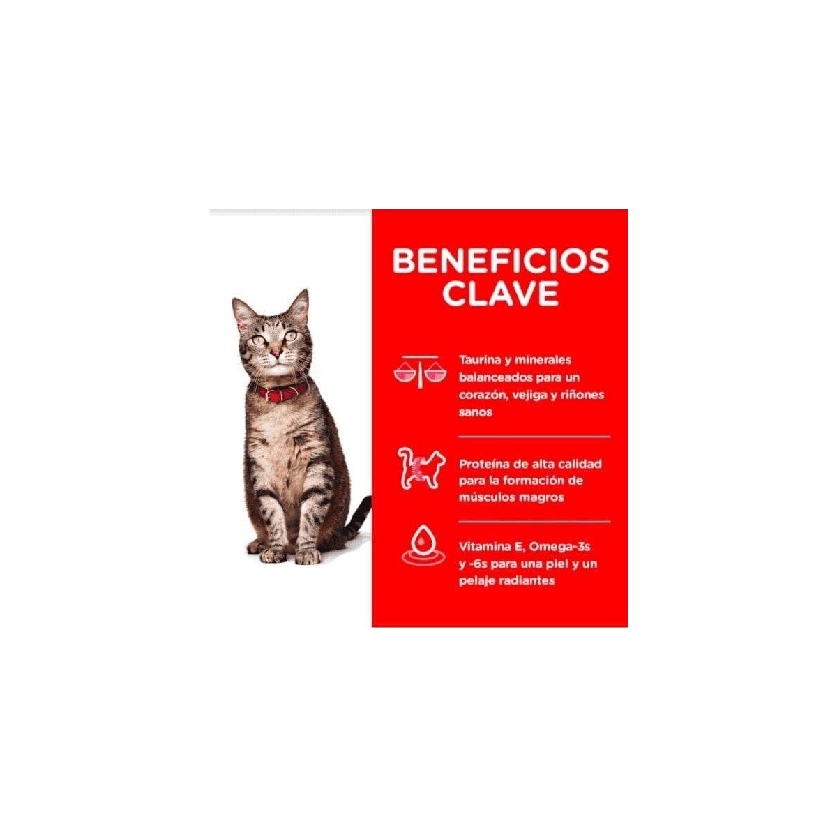 Hill's Alimento para Gato Adulto Receta Pollo (1.8Kg - 7.2Kg) - 3,2 Kg