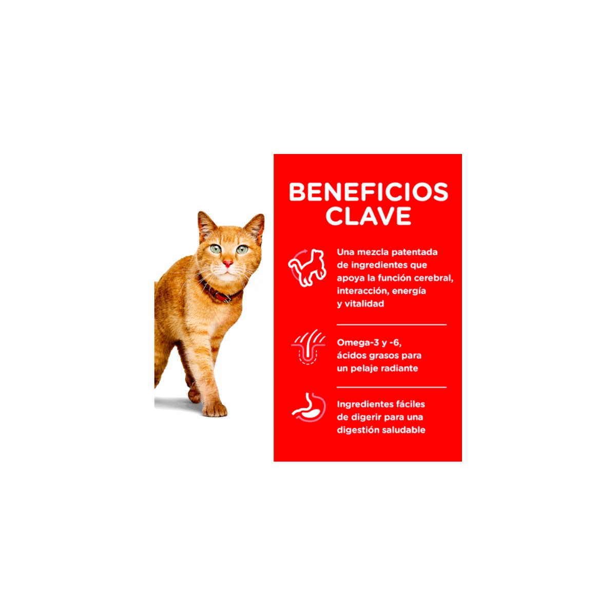 Hill's Alimento para gatos adultos 7+ vitality 1.4Kg
