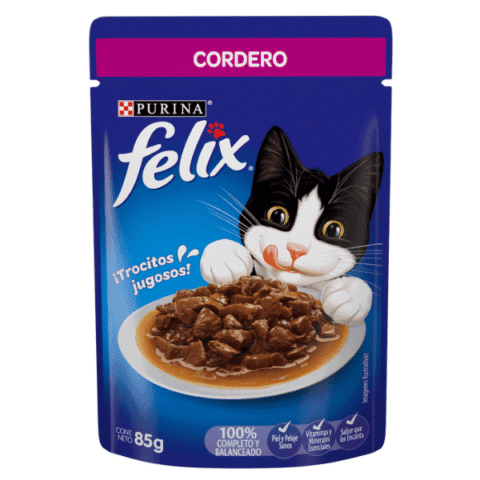 Felix sobre cordero