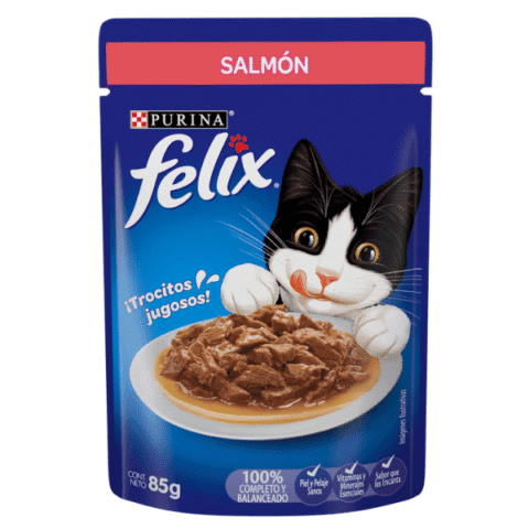 Felix sobre salmón