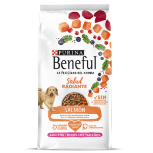 Beneful adulto salmón