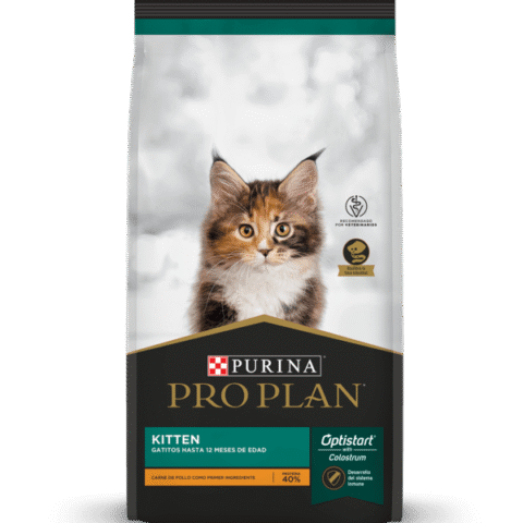 purina-pro-plan-gatos-kitten-gato-alimento-cachorro-croqueta-nutrición animal-nutriciónanimal-mascota