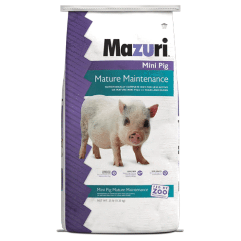 Mazuri-para-mini-pig-mature-maintenance-alimento-para-mini-pig