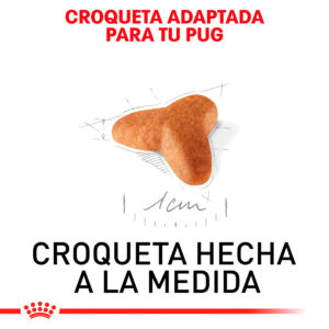 Royal-Canin-Pug-Puppy-alimento-para-pug-croquetas-nutrición-animalnutricion-animal (2)