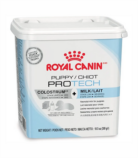 Royal-canin-header-puppy-pro-tech-nutricion-animal-nutrición-animal Royal-canin-header-puppy-pro-tech-nutricion-animal-nutrición-animal