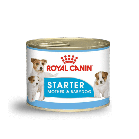 Starter-Mother-& Baby-Dog-Royal-Canin-alimento-húmedo-perra-gestante-lactación-cachorros-nutricion-animal-nutrición-animal