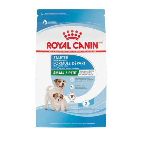 Starter-Mother-& Baby-Dog-Royal-Canin-alimento-seco-razas-pequeñas-raza-small-perra-gestante-lactación-cachorros-nutricion-animal-nutrición-animal