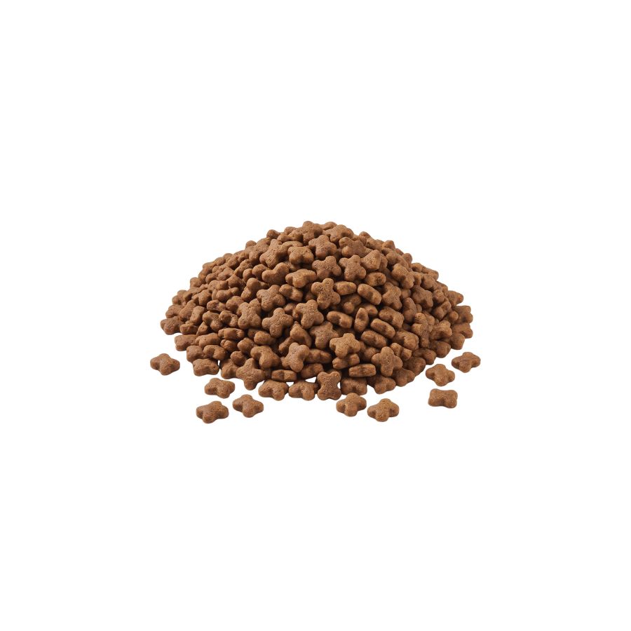 Kitten chaton 341gr/ 3.18kg - 341g