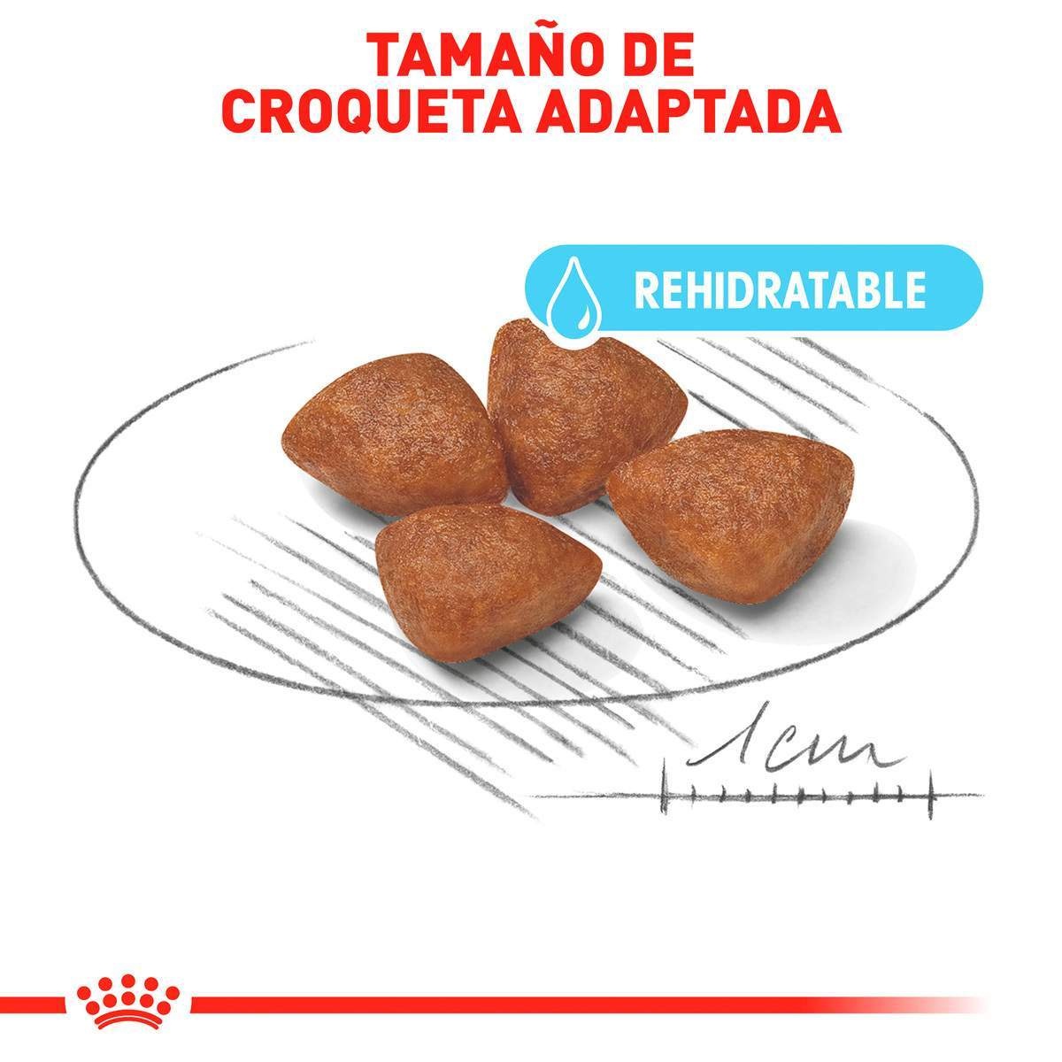Starter alimento seco raza pequeña 1.14kg/ 6.36kg - 6.36kg