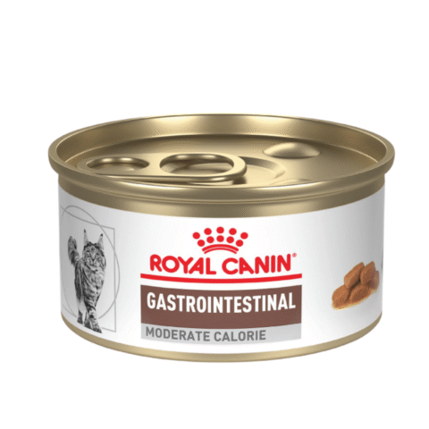 royal-canin-alimento-gastrointestinal-para-gato-moderado-en-calorias-nutricion-animal (2)