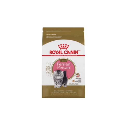 Kitten Persa 1.36kg