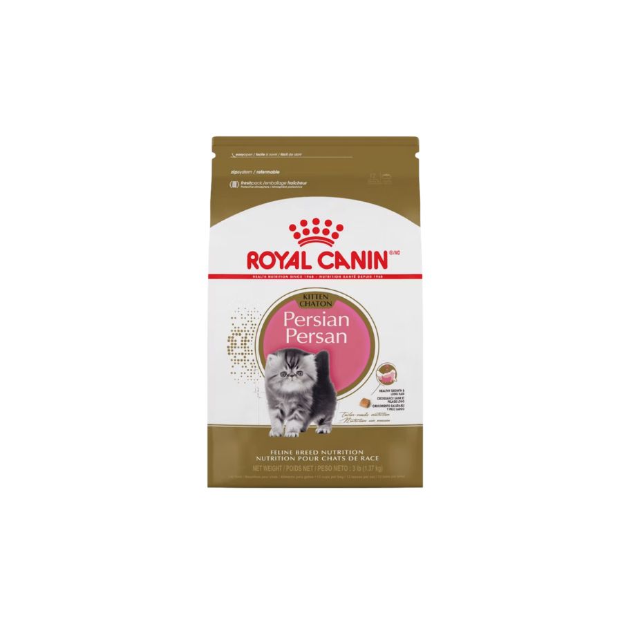 Kitten Persa 1.36kg