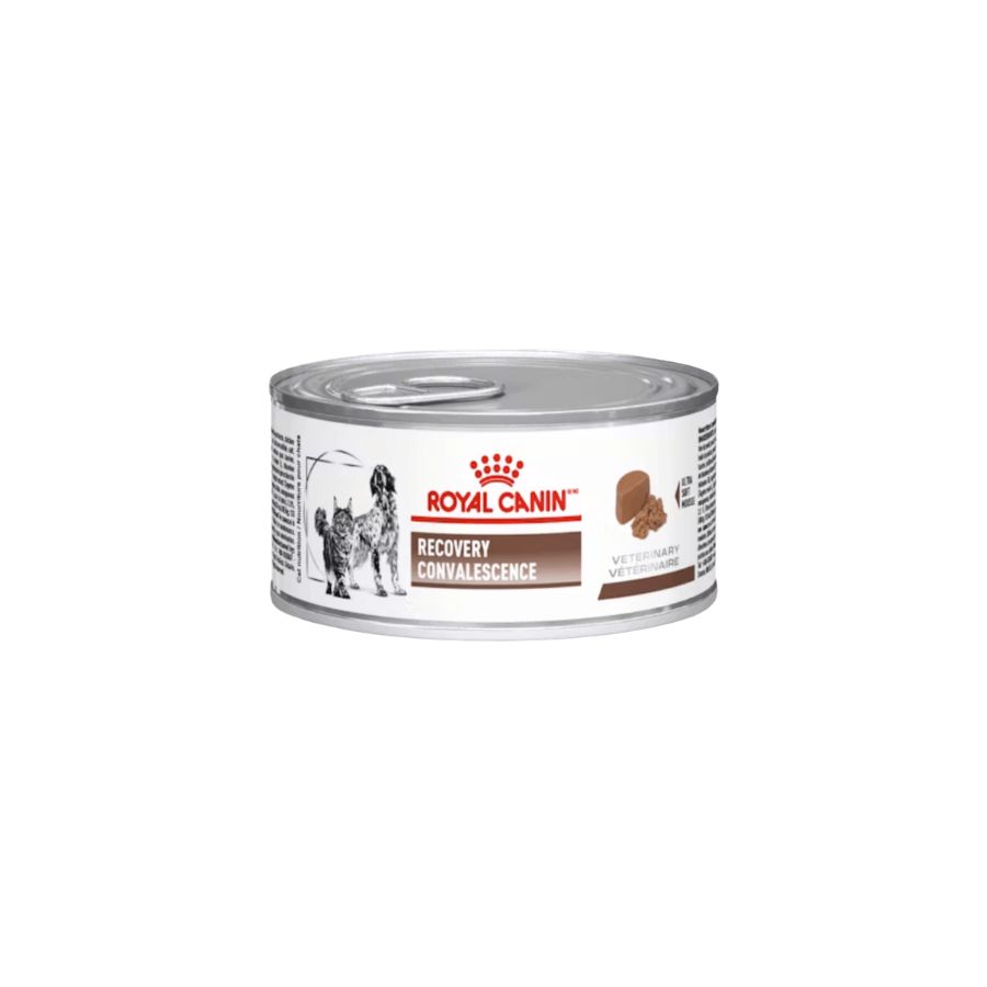 Recovery lata145gr