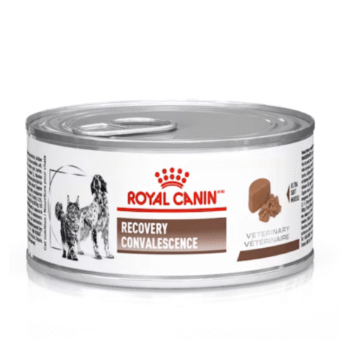 royal-canin-lata-recovery-nutricion-animal