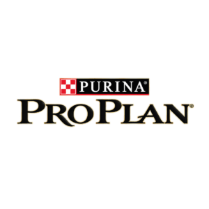Pro Plan