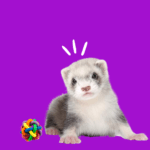 alimento-para-exóticos-nutrición-animal