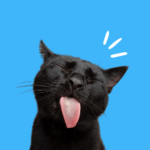 alimento-para-gatos-nutrición-animal