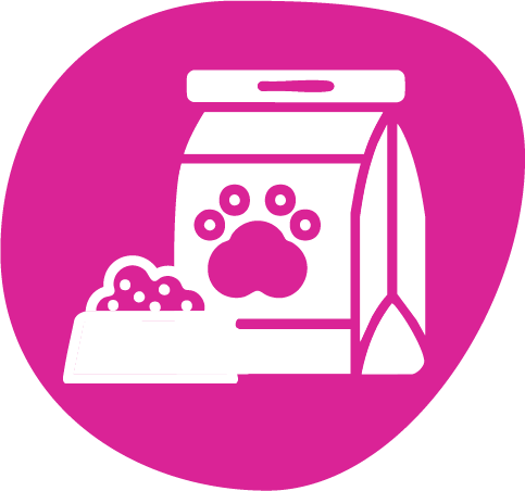 alimento-seco-para-perro